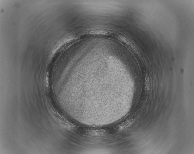 X0000088020731200705251051