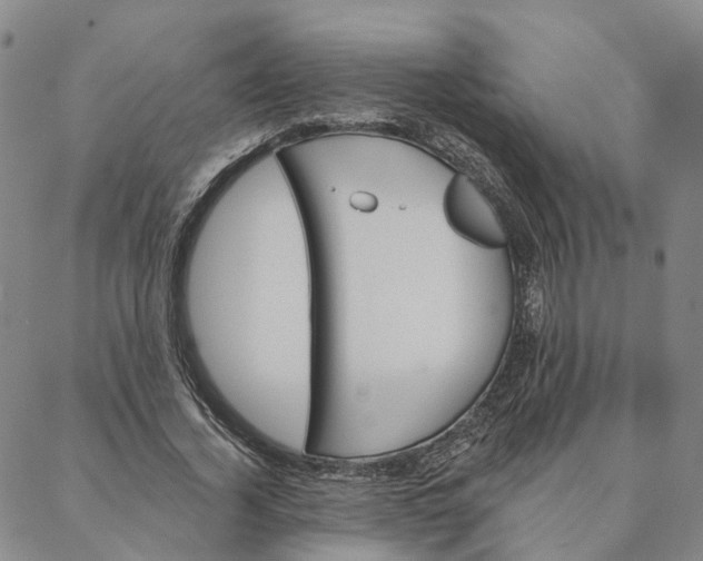 X0000088020732200705251051