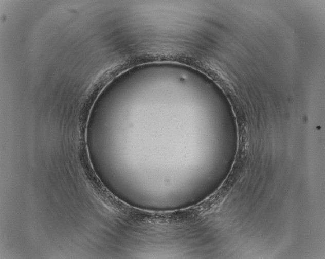 X0000088020733200705251051