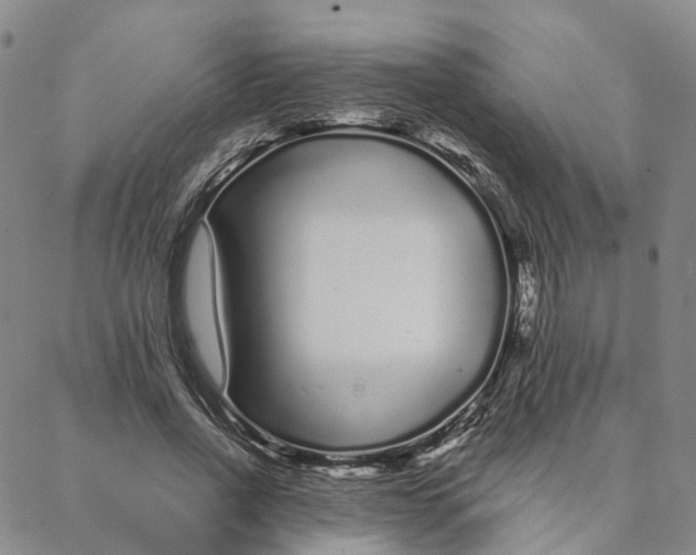 X0000088020734200705251051