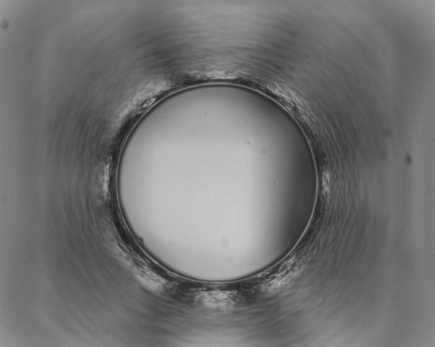 X0000088020735200705251051