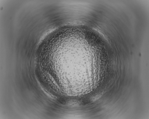 X0000088020736200705251051