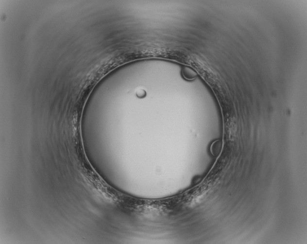 X0000088020737200705251051