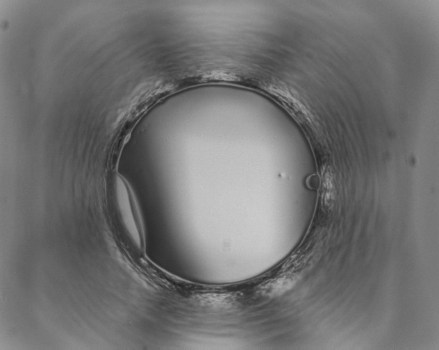 X0000088020738200705251051