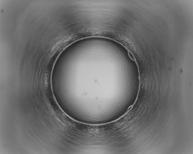 X0000088020740200705251051