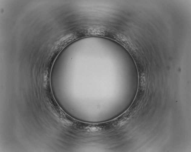 X0000088020741200705251051