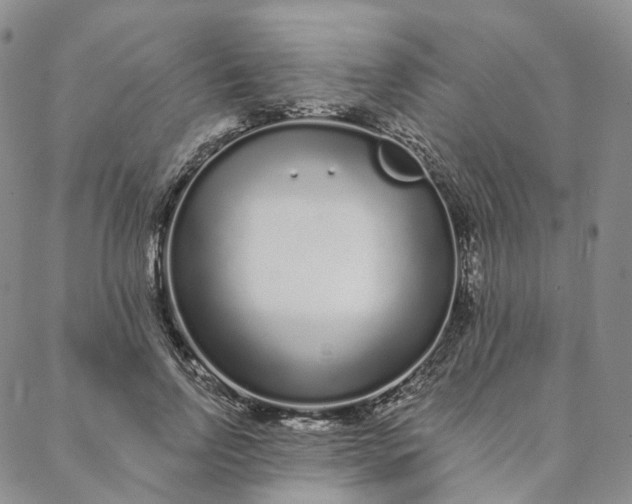 X0000088020742200705251051