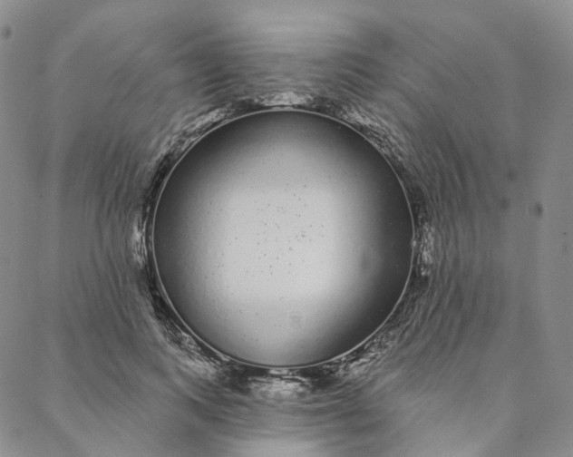 X0000088020743200705251051