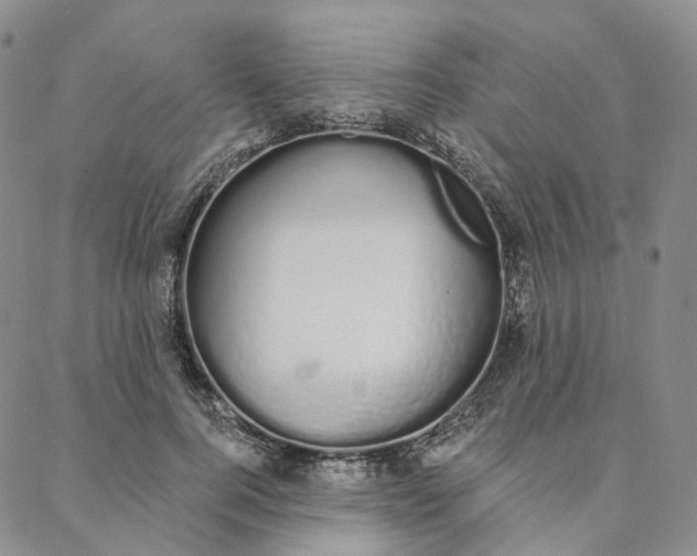 X0000088020744200705251051