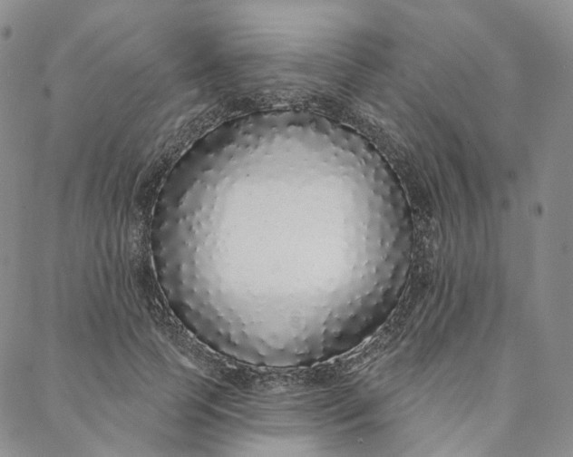 X0000088020745200705251051