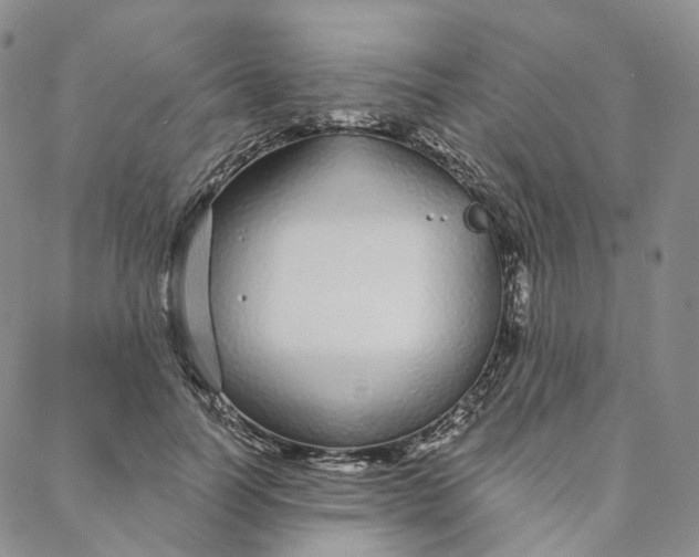 X0000088020746200705251051