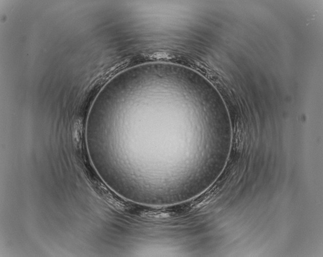 X0000088020747200705251051