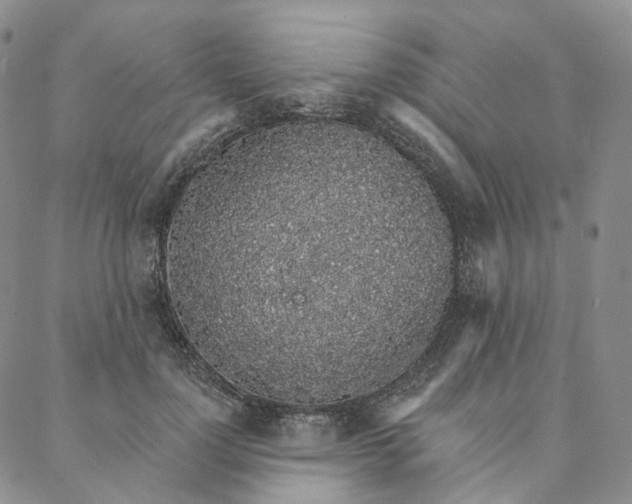 X0000088020748200705251051