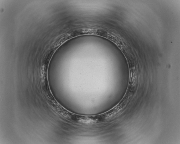 X0000088020749200705251051