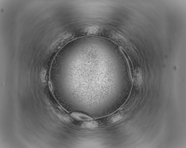 X0000088020750200705251051