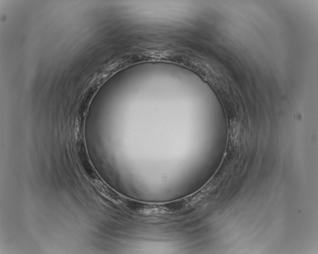 X0000088020752200705251051