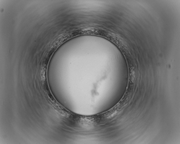 X0000088020753200705251051