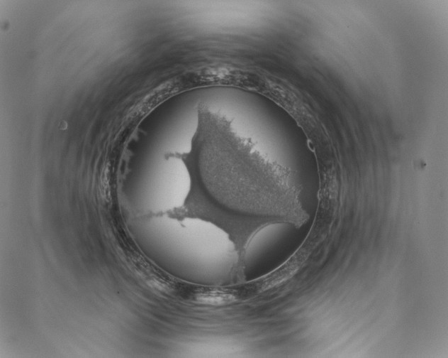 X0000088020754200705251051