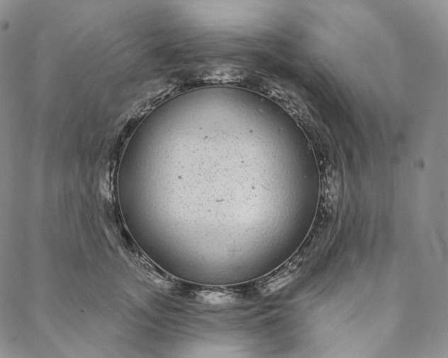 X0000088020755200705251051