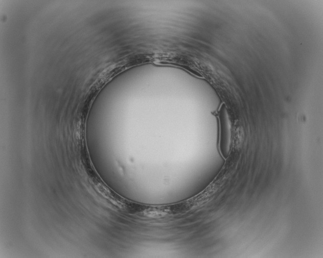 X0000088020756200705251051