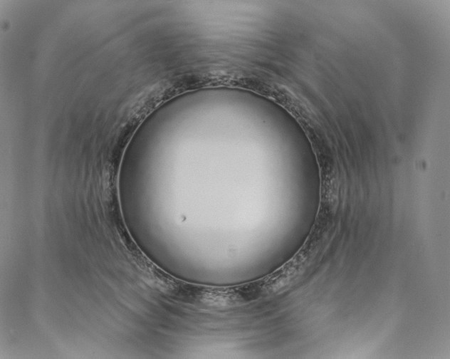 X0000088020757200705251051