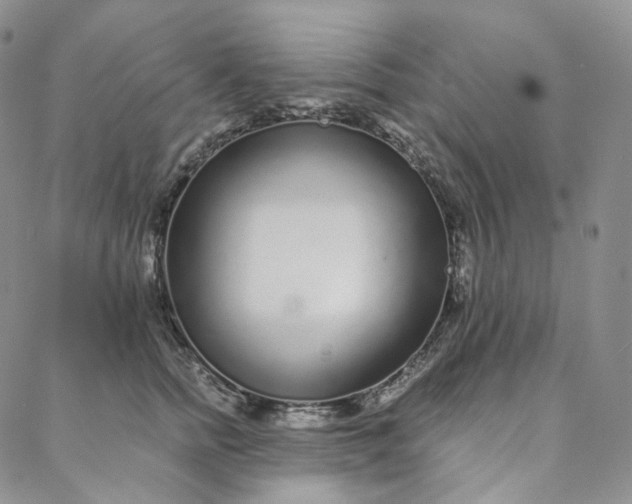 X0000088020758200705251051