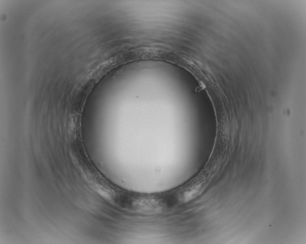 X0000088020759200705251051