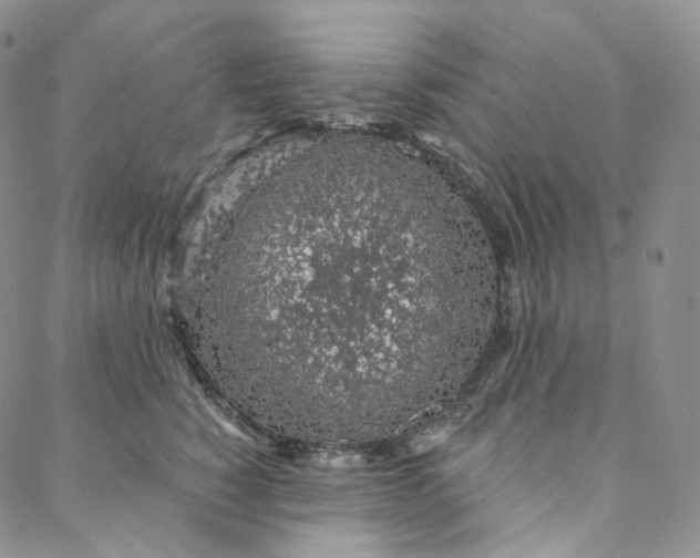 X0000088020760200705251051