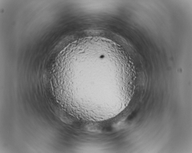 X0000088020761200705251051