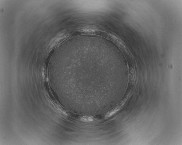 X0000088020762200705251051