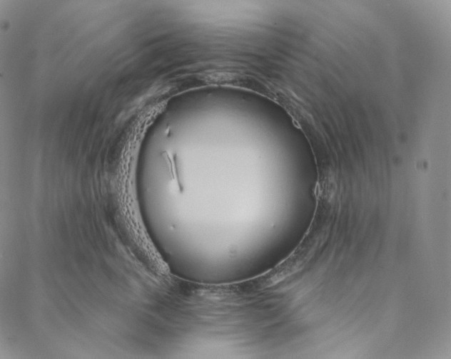 X0000088020763200705251051