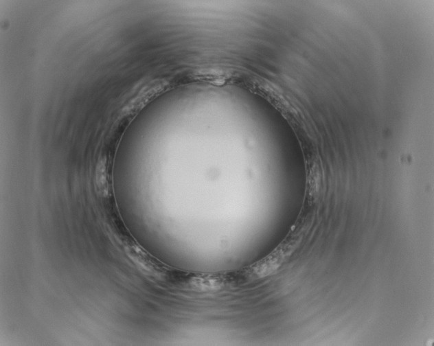 X0000088020764200705251051