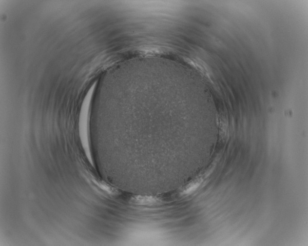 X0000088020766200705251051