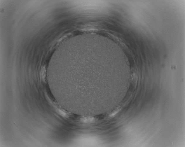 X0000088020767200705251051