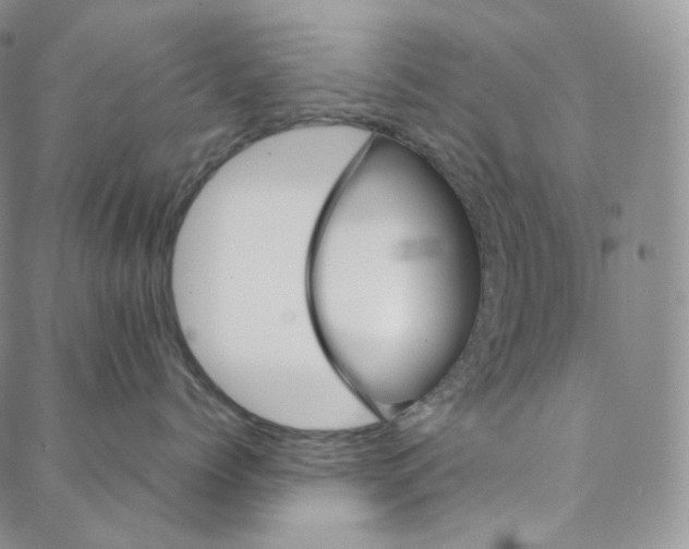 X0000088020768200705251051