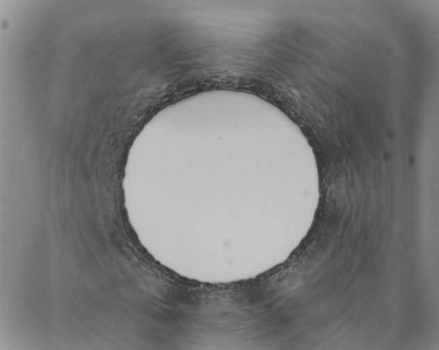 X0000088020769200705251051