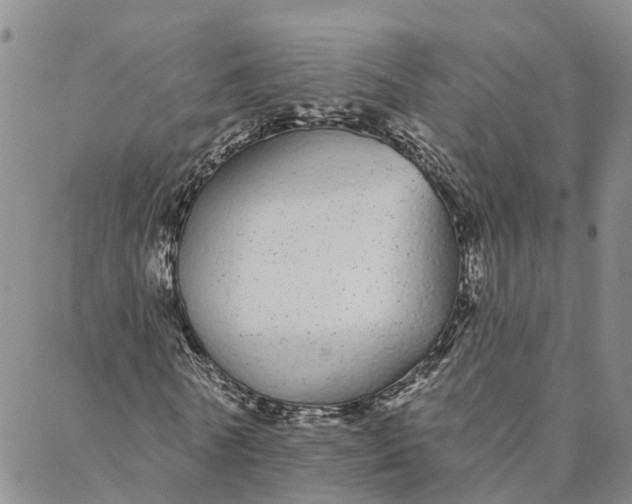 X0000088020770200705251051