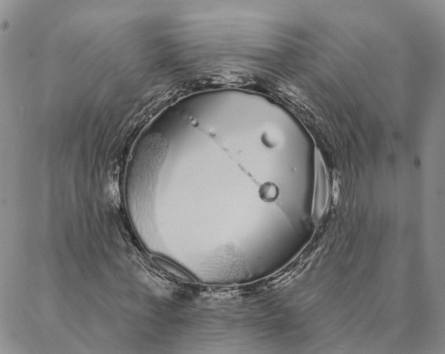 X0000088020771200705251051