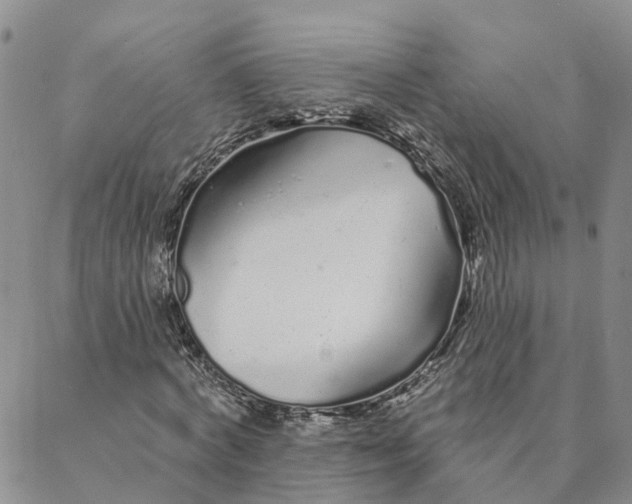 X0000088020772200705251051