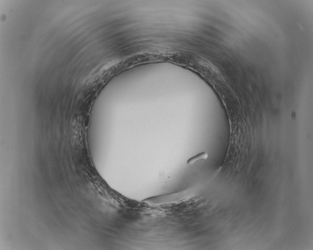 X0000088020773200705251051