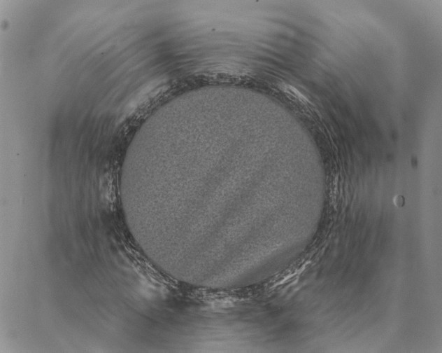 X0000088020774200705251051