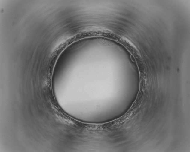 X0000088020775200705251051