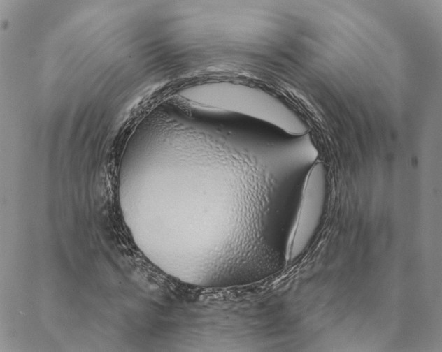 X0000088020776200705251051