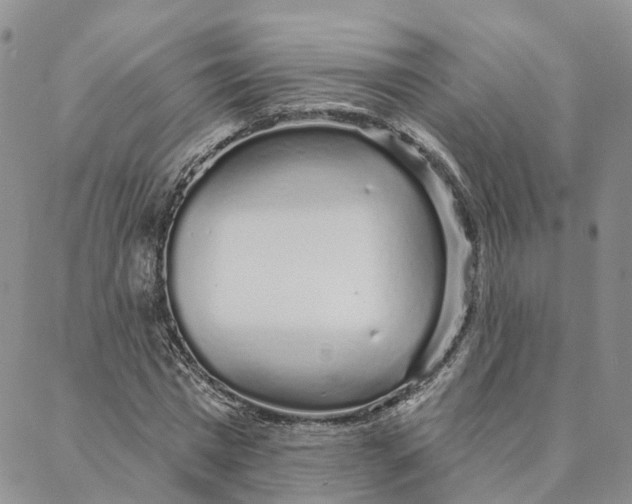 X0000088020777200705251051