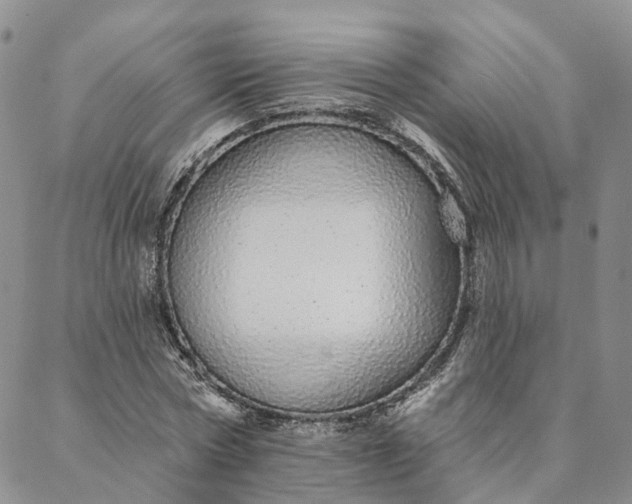 X0000088020778200705251050