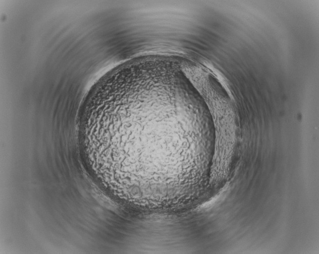 X0000088020779200705251050