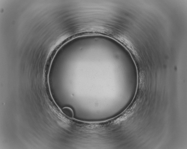 X0000088020780200705251050