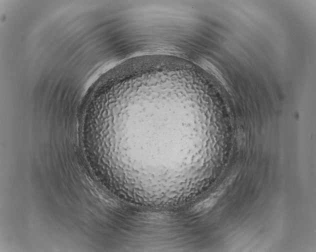 X0000088020781200705251050