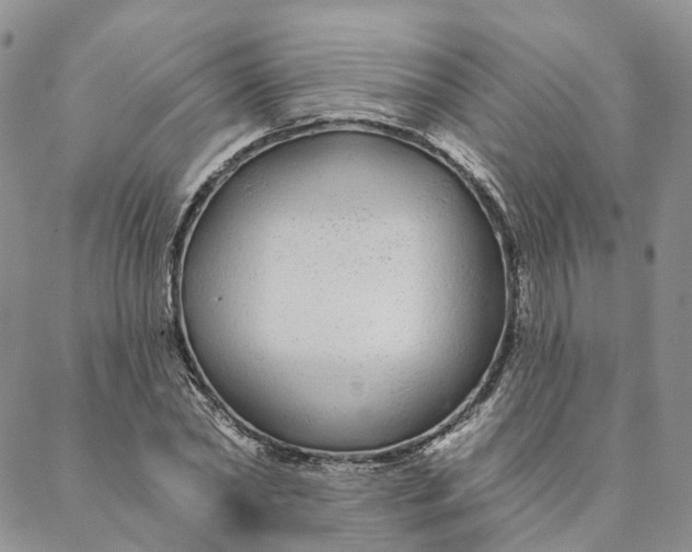 X0000088020782200705251050