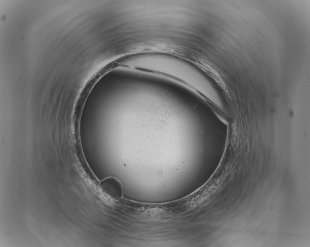 X0000088020784200705251050